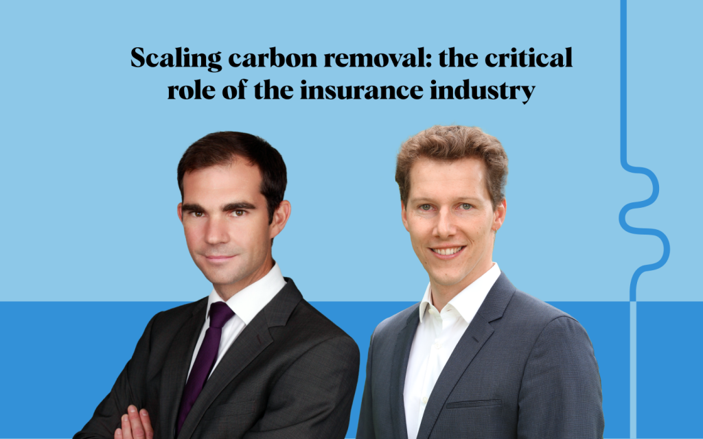 How can the insurance industry accelerate the scaling of removals?