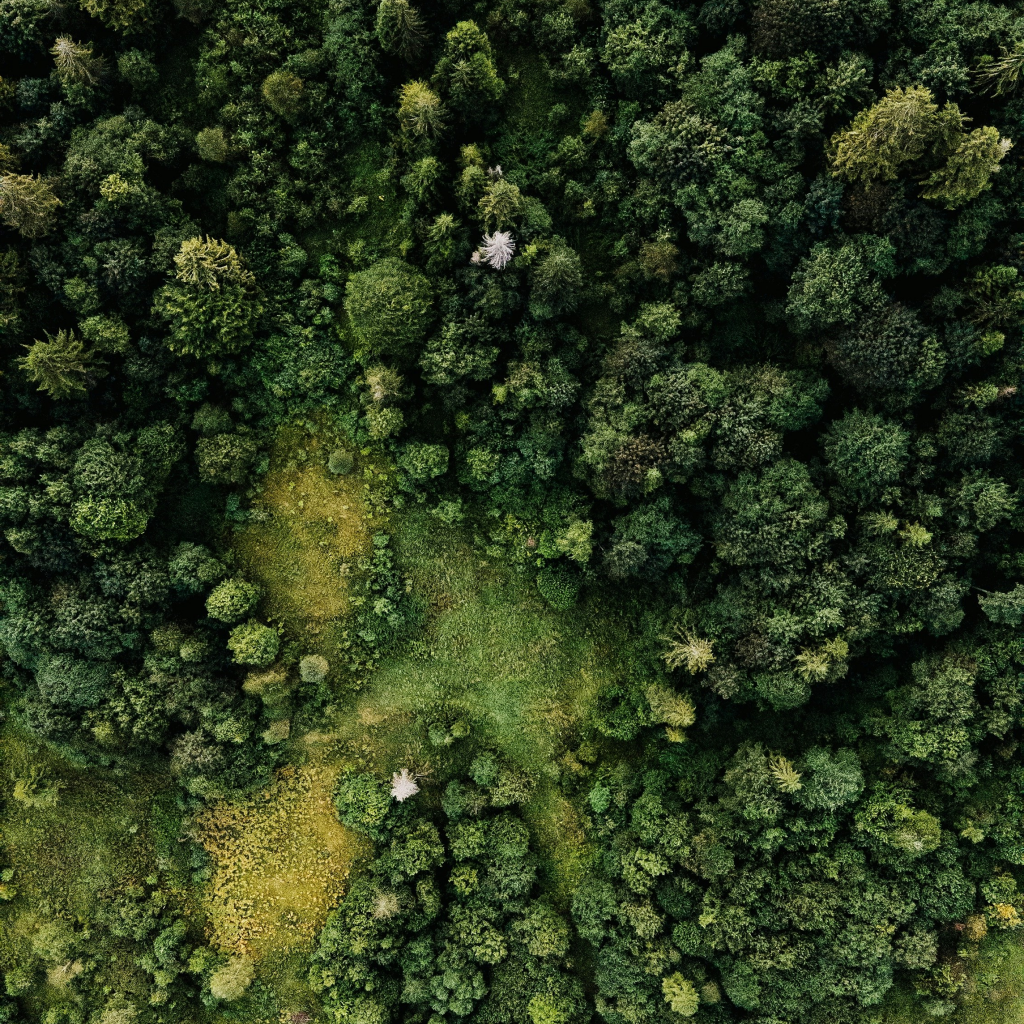 Climeworks Solutions product sheet: Nature focus