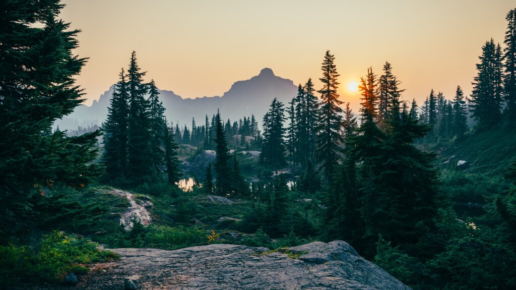 Climeworks Solutions product sheet: Nature focus