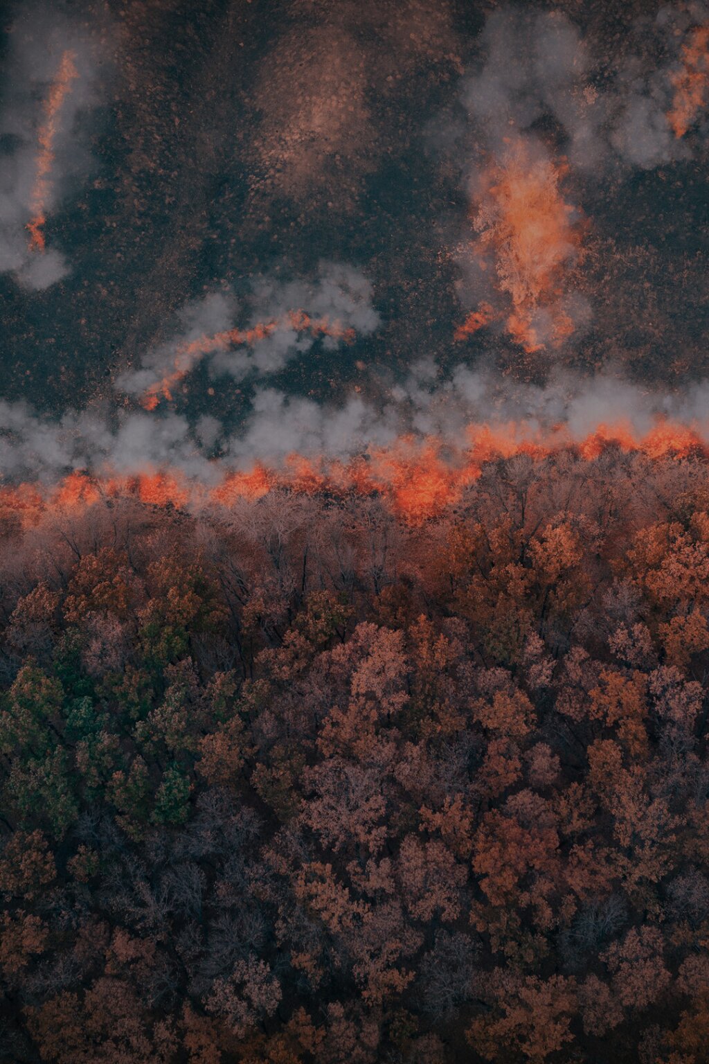 Natural disasters