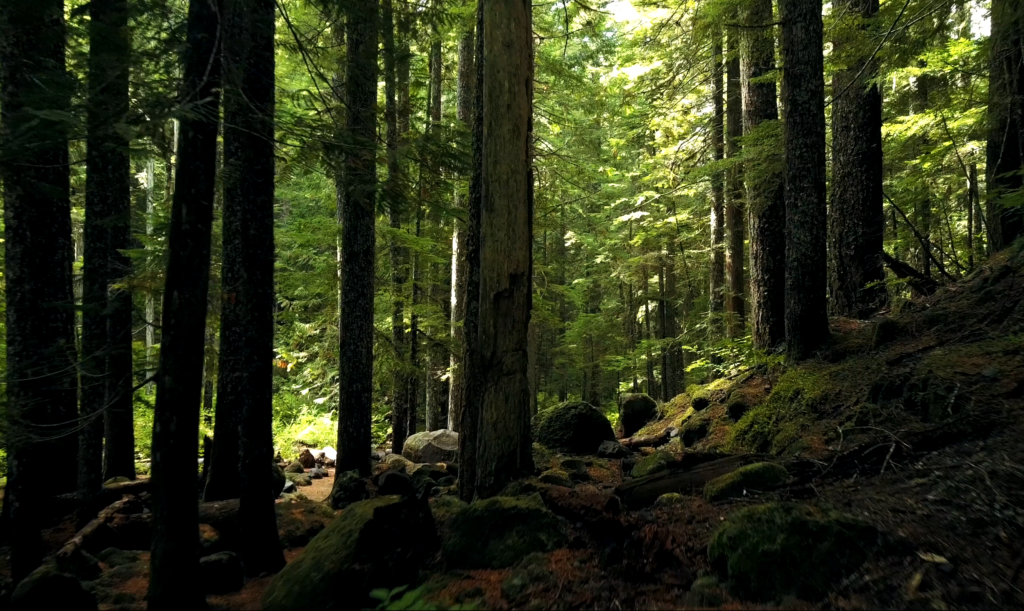 Smart for the planet, and for business.