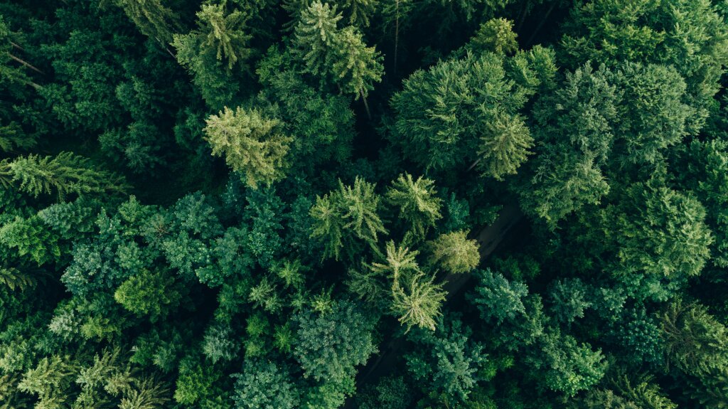 At one with nature